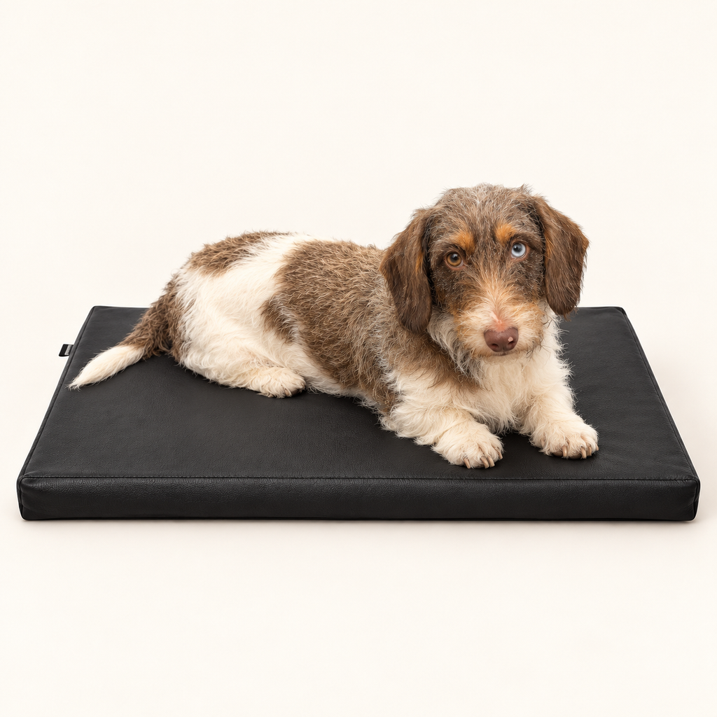 Bia Bed Orthopedisch Hondenmatras Ortho Zwart Kunstleer