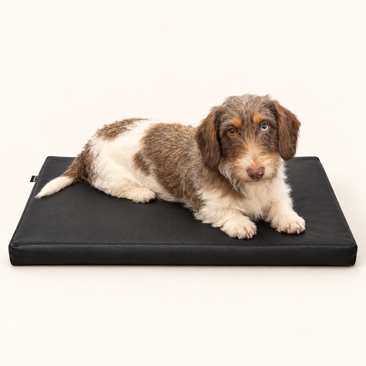 Bia Bed Orthopädische Hundematratze Ortho Schwarz Kunstleder