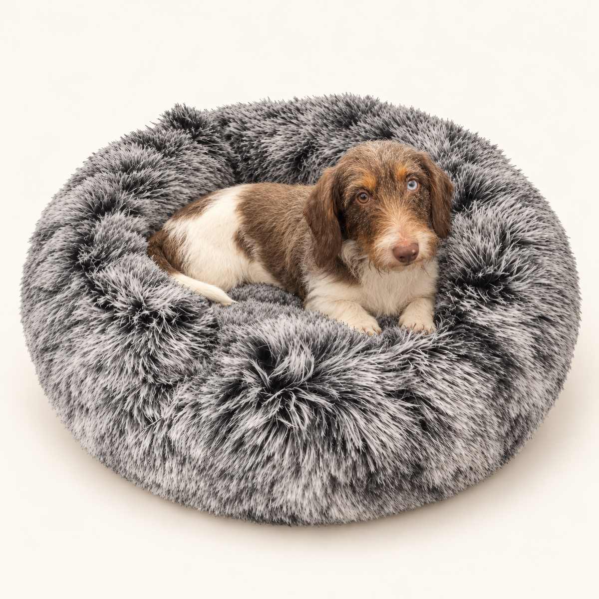 Croci Hundebett Donut Bicolor Rund Schwarz Superweicher Plüsch