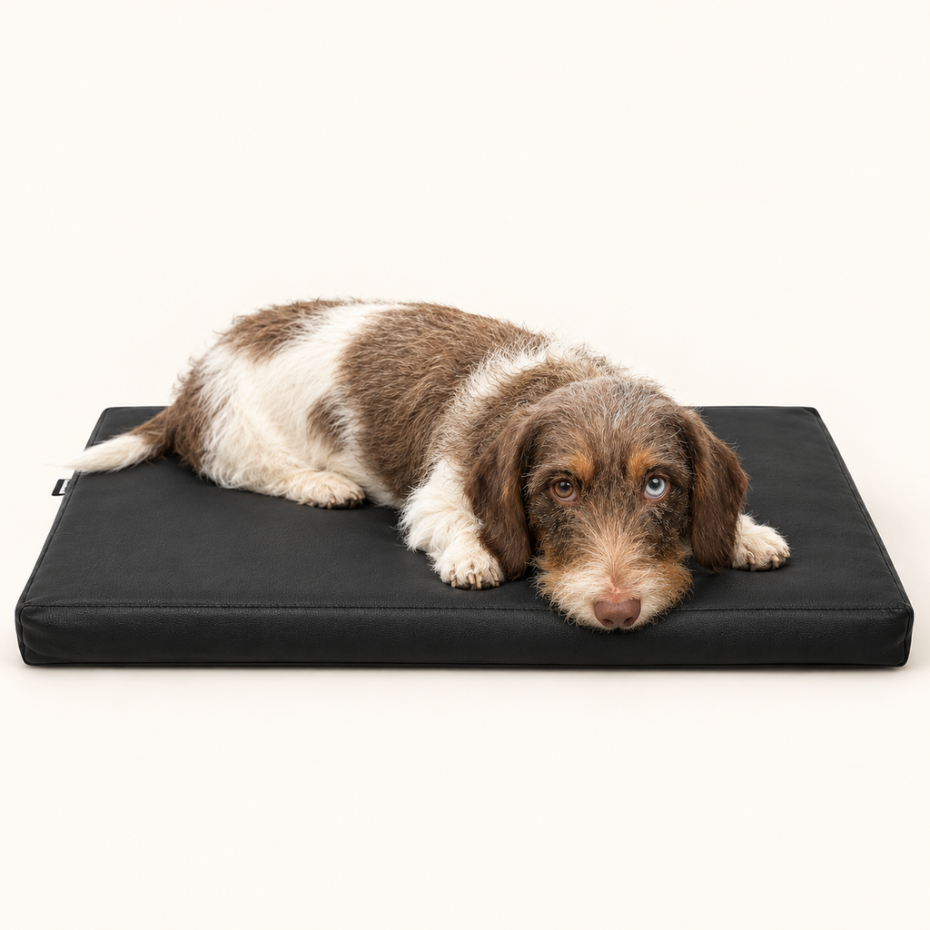 Bia Bed Orthopedisch Hondenmatras Ortho Zwart Kunstleer