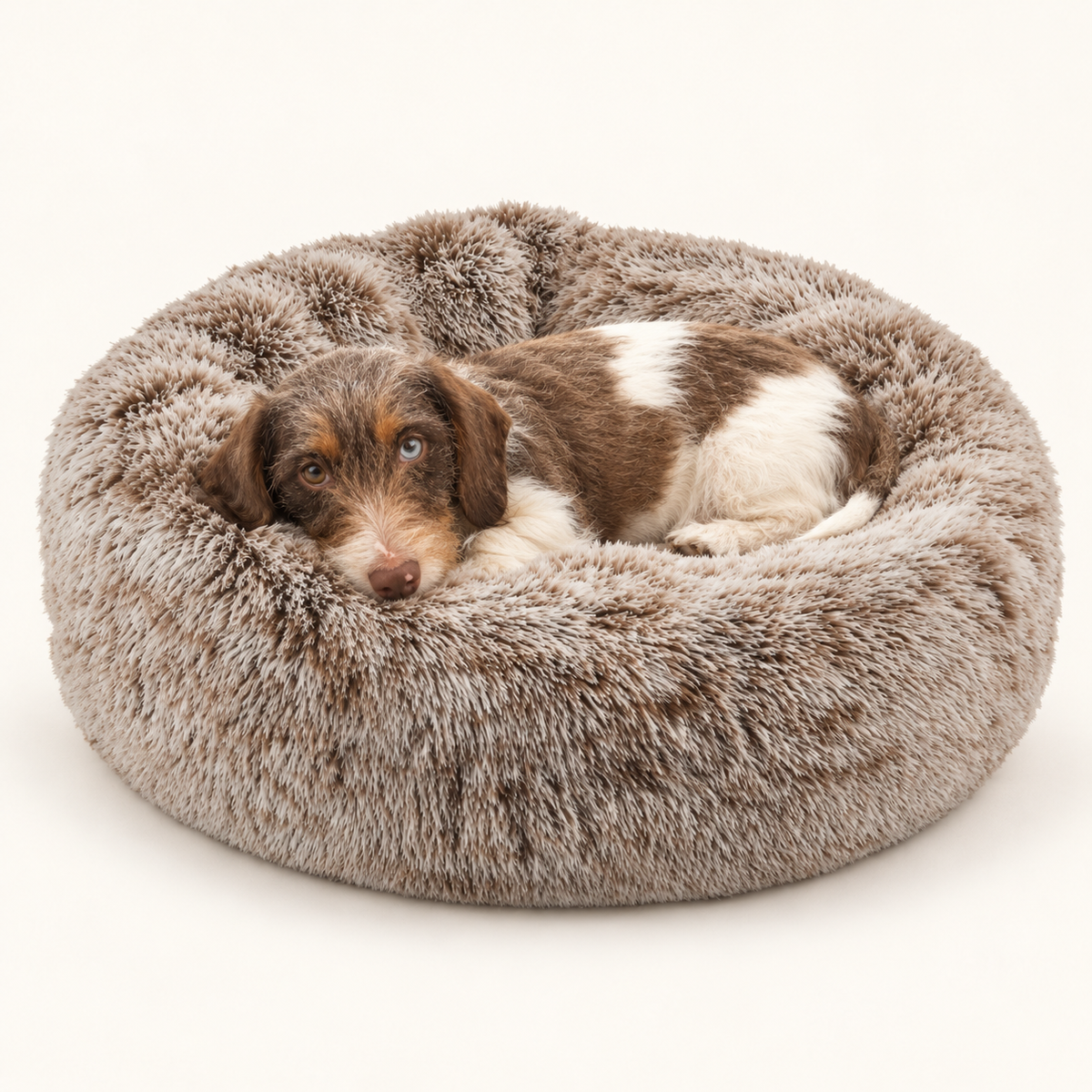 Croci Hundebett Donut Bicolor Rund Beige Superweicher Plüsch